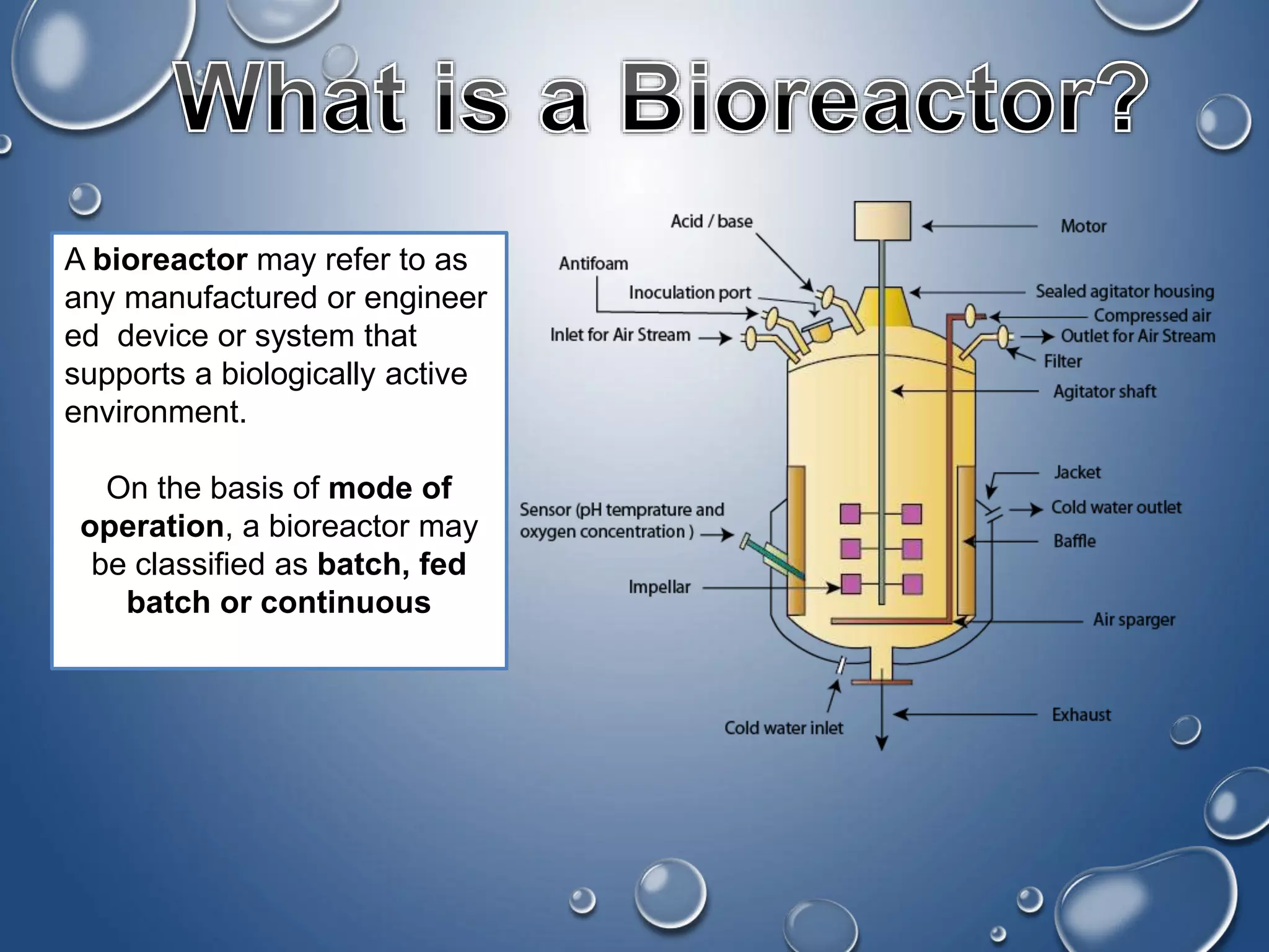 Fluidised Bed Bioreactor PPT