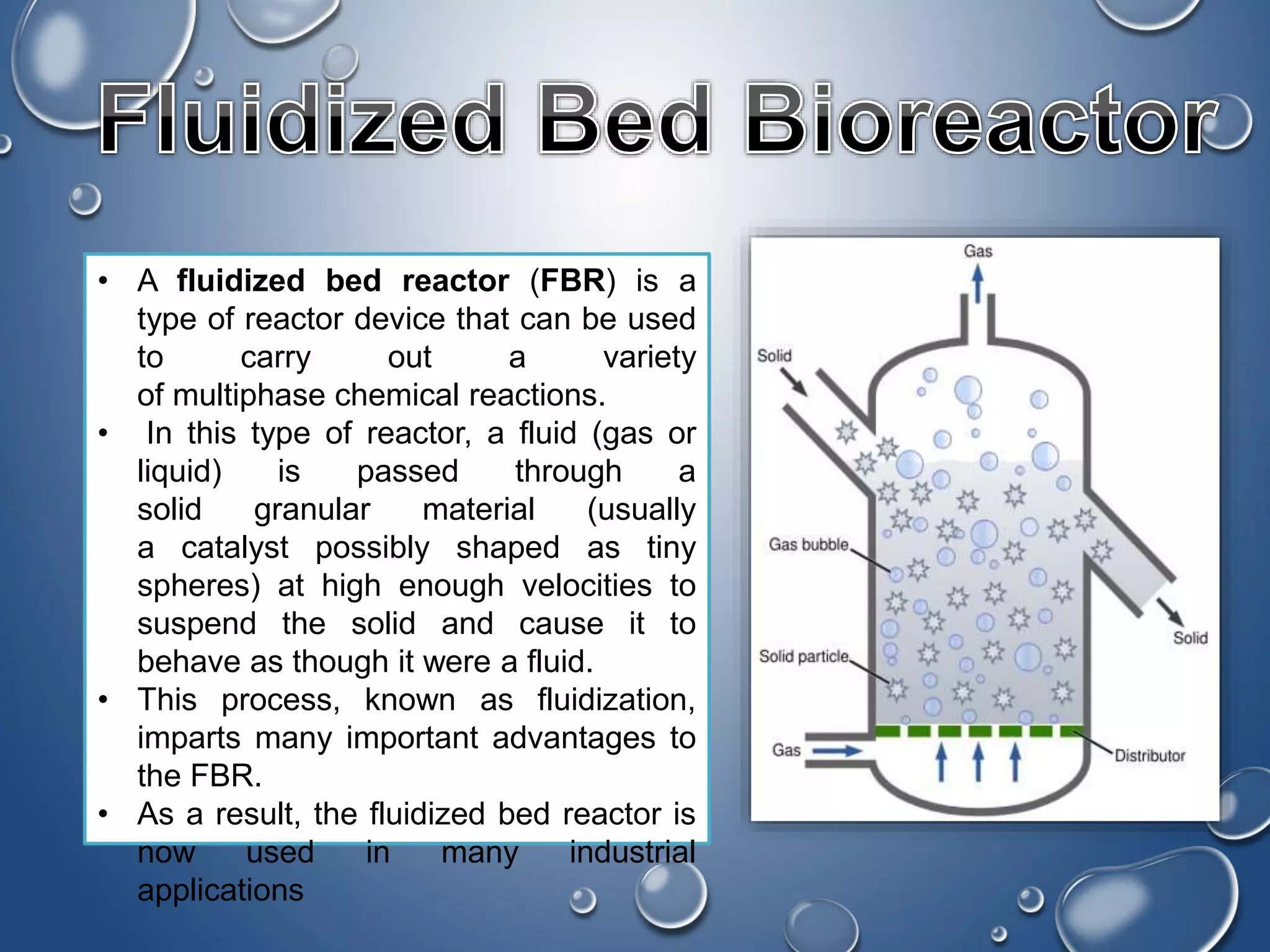 Fluidised Bed Bioreactor PPT