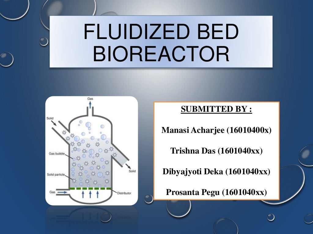 Fluidised Bed Bioreactor
