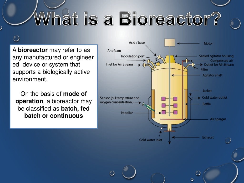 Fluidised Bed Bioreactor