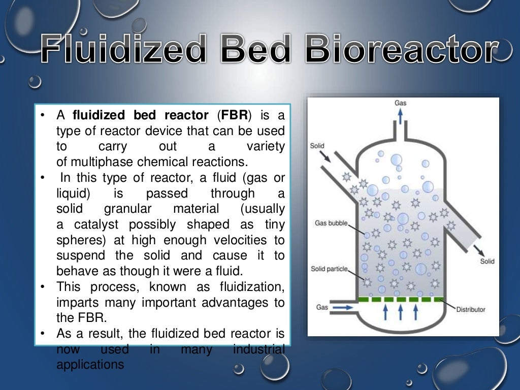 Fluidised Bed Bioreactor
