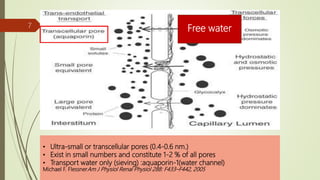 • Ultra-small or transcellular pores (0.4-0.6 nm.)
• Exist in small numbers and constitute 1-2 % of all pores
• Transport water only (sieving) :aquaporin-1(water channel)
Michael F. FlessnerAm J Physiol Renal Physiol 288: F433–F442, 2005
Free water7
 