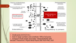 • Small pores (4.0-6.0 nm.)
• Exist in large numbers and constitute 95% of all pores
• transport small solutes and water: interendothelial cleft
Michael F. FlessnerAm J Physiol Renal Physiol 288: F433–F442, 2005
Small solute e.g.
Na ,K , Cr
8
 