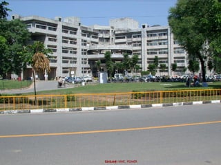 13/2/14Geetanjli NINE, PGIMER
 