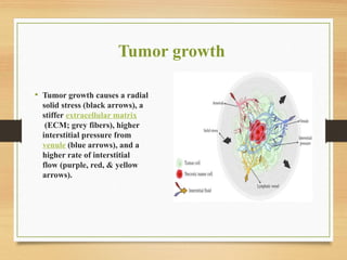 Tumor growth
• Tumor growth causes a radial
solid stress (black arrows), a
stiffer extracellular matrix
(ECM; grey fibers), higher
interstitial pressure from
venule (blue arrows), and a
higher rate of interstitial
flow (purple, red, & yellow
arrows).
 
