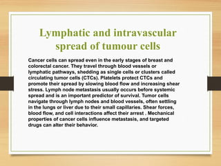 Lymphatic and intravascular
spread of tumour cells
Cancer cells can spread even in the early stages of breast and
colorectal cancer. They travel through blood vessels or
lymphatic pathways, shedding as single cells or clusters called
circulating tumor cells (CTCs). Platelets protect CTCs and
promote their spread by slowing blood flow and increasing shear
stress. Lymph node metastasis usually occurs before systemic
spread and is an important predictor of survival. Tumor cells
navigate through lymph nodes and blood vessels, often settling
in the lungs or liver due to their small capillaries. Shear forces,
blood flow, and cell interactions affect their arrest . Mechanical
properties of cancer cells influence metastasis, and targeted
drugs can alter their behavior.
 