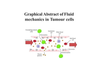 Graphical Abstract of Fluid
mechanics in Tumour cells
 