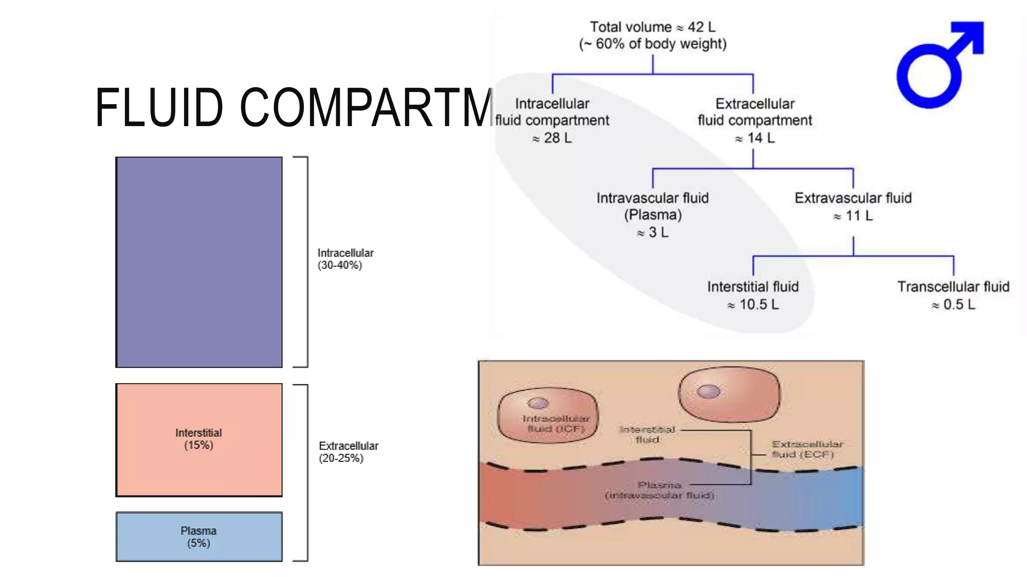 Fluid management in Pediatrics PPT