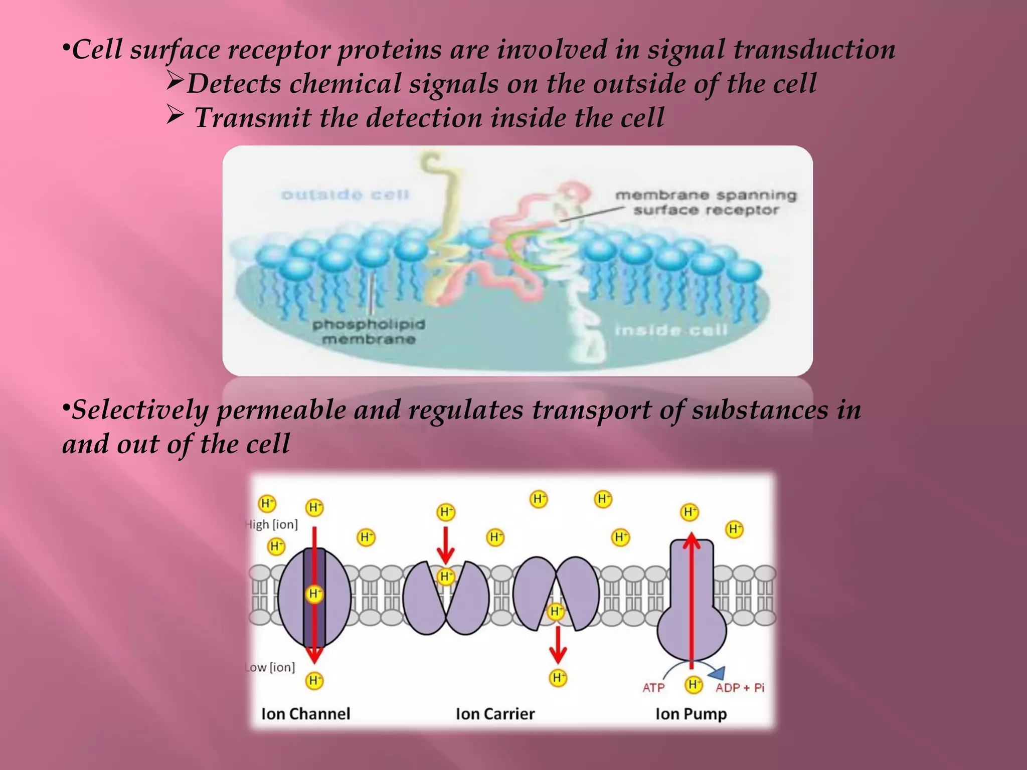 FLUID MOSAID MODEL | PPT
