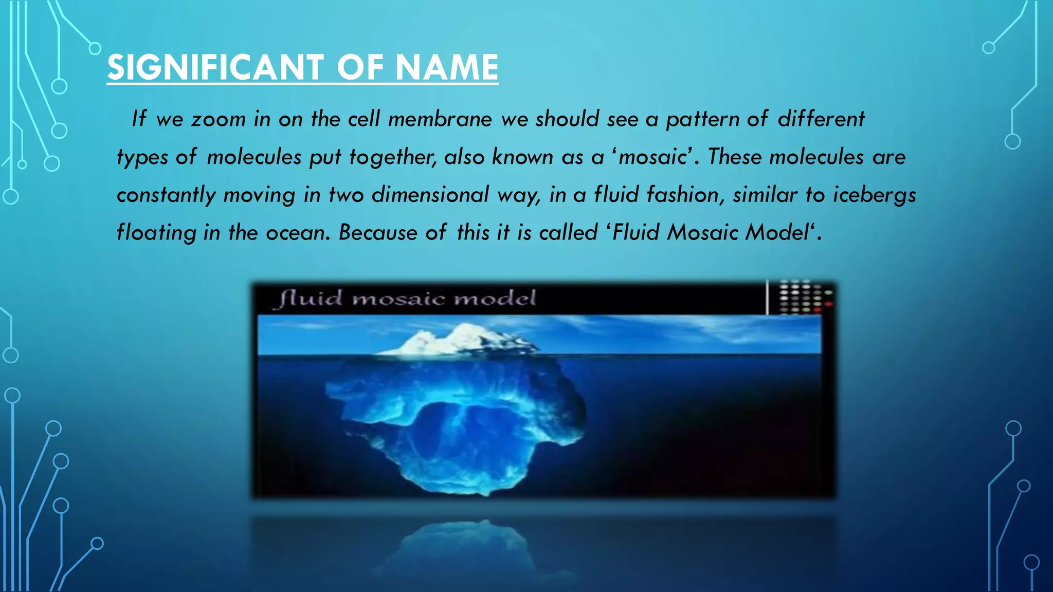 SIGNIFICANT OF NAME
If we zoom in on the cell membrane we should see a pattern of different
types of molecules put together, also known as a ‘mosaic’. These molecules are
constantly moving in two dimensional way, in a fluid fashion, similar to icebergs
floating in the ocean. Because of this it is called ‘Fluid Mosaic Model‘.
 