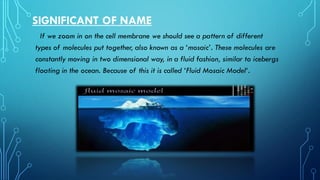 SIGNIFICANT OF NAME
If we zoom in on the cell membrane we should see a pattern of different
types of molecules put together, also known as a ‘mosaic’. These molecules are
constantly moving in two dimensional way, in a fluid fashion, similar to icebergs
floating in the ocean. Because of this it is called ‘Fluid Mosaic Model‘.
 