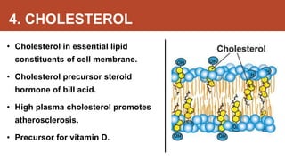 4. CHOLESTEROL
• Cholesterol in essential lipid
constituents of cell membrane.
• Cholesterol precursor steroid
hormone of bill acid.
• High plasma cholesterol promotes
atherosclerosis.
• Precursor for vitamin D.
 