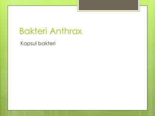 Bakteri Anthrax
Kapsul bakteri
 