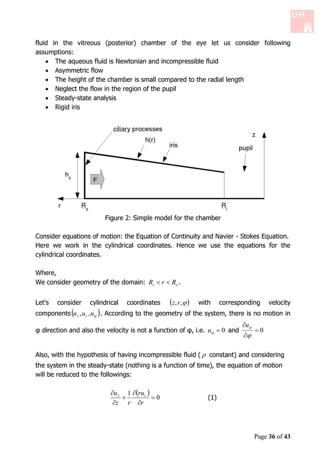 Fluid motion in the posterior chamber of the eye | PDF