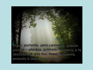 Ama, portanto, pelo caminho, quantoAma, portanto, pelo caminho, quanto
possas – plantas, animais, homens, e tepossas – plantas, animais, homens, e te
descobrirás, por fim, superiormente,descobrirás, por fim, superiormente,
amando a Deus.amando a Deus. joanna de Angelisjoanna de Angelis
 
