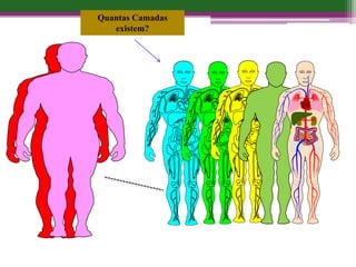 Quantas Camadas
existem?
 