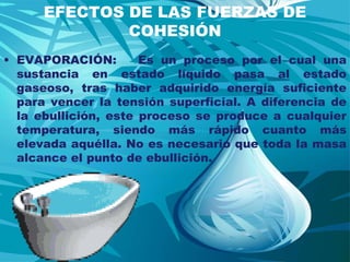 EFECTOS DE LAS FUERZAS DE COHESIÓNEVAPORACIÓN:   Es un proceso por el cual una sustancia en estado líquido pasa al estado gaseoso, tras haber adquirido energía suficiente para vencer la tensión superficial. A diferencia de la ebullición, este proceso se produce a cualquier temperatura, siendo más rápido cuanto más elevada aquélla. No es necesario que toda la masa alcance el punto de ebullición.