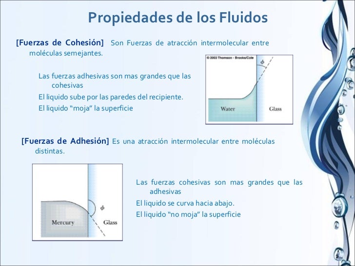Fluidos