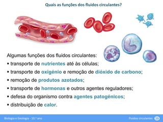 Biologia e Geologia - 10.o ano Fluidos circulantes 39
Algumas funções dos fluidos circulantes:
 transporte de nutrientes até às células;
 transporte de oxigénio e remoção de dióxido de carbono;
 remoção de produtos azotados;
 transporte de hormonas e outros agentes reguladores;
 defesa do organismo contra agentes patogénicos;
 distribuição de calor.
Quais as funções dos fluidos circulantes?
 