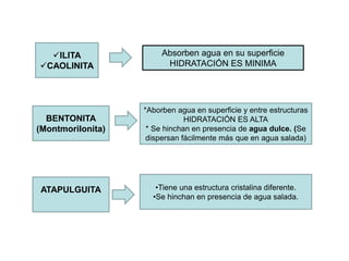 Absorben agua en su superficie
HIDRATACIÓN ES MINIMA
ILITA
CAOLINITA
BENTONITA
(Montmorilonita)
*Aborben agua en superficie y entre estructuras
HIDRATACIÓN ES ALTA
* Se hinchan en presencia de agua dulce. (Se
dispersan fácilmente más que en agua salada)
ATAPULGUITA •Tiene una estructura cristalina diferente.
•Se hinchan en presencia de agua salada.
 