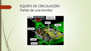 EQUIPO DE CIRCULACIÓN
Partes de una bomba
 