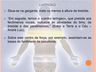 LARÍNGEO
o Situa-se na garganta, mais ou menos à altura da tireóide.

o “Em seguida, temos o «centro laríngeo», que preside aos
  fenômenos vocais, inclusive às atividades do timo, da
  tireóide e das paratireóides.” (Entre a Terra e o Céu –
  André Luiz).

o Sobre este centro de força, por exemplo, assentam-se as
  bases do fenômeno da psicofonia.
 