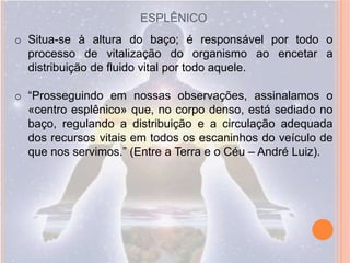 ESPLÊNICO
o Situa-se à altura do baço; é responsável por todo o
  processo de vitalização do organismo ao encetar a
  distribuição de fluido vital por todo aquele.

o “Prosseguindo em nossas observações, assinalamos o
  «centro esplênico» que, no corpo denso, está sediado no
  baço, regulando a distribuição e a circulação adequada
  dos recursos vitais em todos os escaninhos do veículo de
  que nos servimos.” (Entre a Terra e o Céu – André Luiz).
 