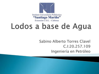 Sabino Alberto Torres Clavel
C.I:20.257.109
Ingeniería en Petróleo
 