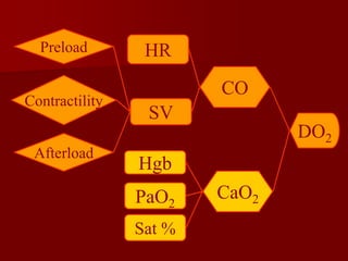 DO2
CaO2
CO
Sat %
PaO2
Hgb
HR
SV
Preload
Contractility
Afterload
 