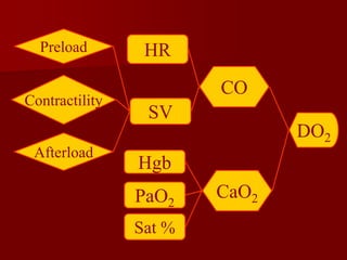 DO2
CaO2
CO
Sat %
PaO2
Hgb
HR
SV
Preload
Contractility
Afterload
 