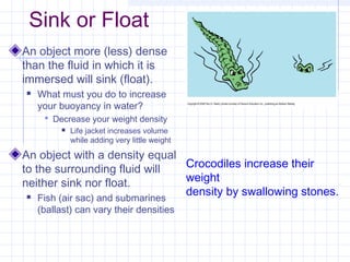 Sink or Float
An object more (less) dense
than the fluid in which it is
immersed will sink (float).
 What must you do to increase
your buoyancy in water?
 Decrease your weight density
 Life jacket increases volume
while adding very little weight
An object with a density equal
to the surrounding fluid will
neither sink nor float.
 Fish (air sac) and submarines
(ballast) can vary their densities
Crocodiles increase their
weight
density by swallowing stones.
 