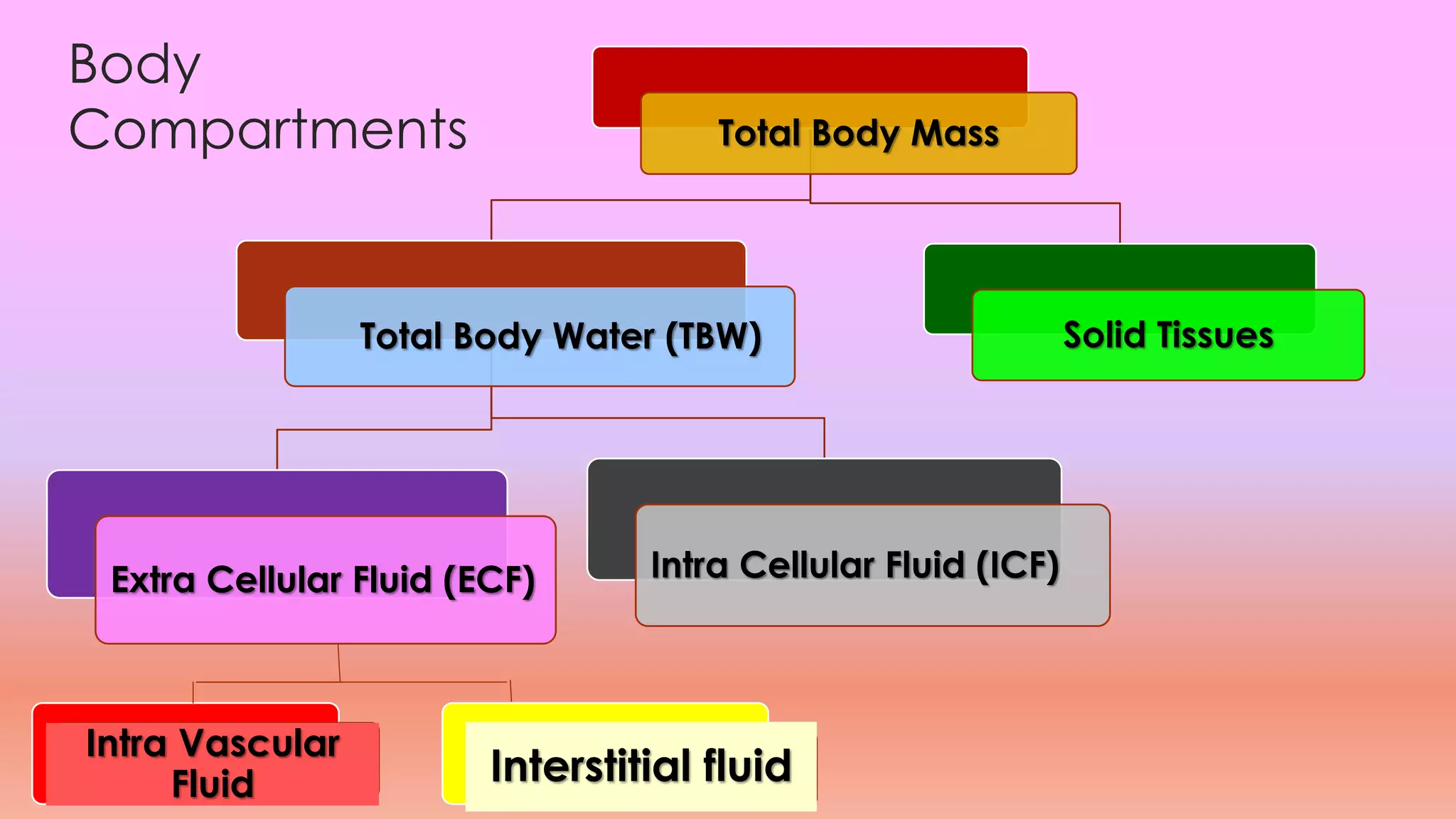 Body
Compartments Total Body Mass
Total Body Water (TBW)
Extra Cellular Fluid (ECF) Intra Cellular Fluid (ICF)
Solid Tissues
Intra Vascular
Fluid Interstitial fluid
 