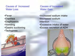 Causes of  Increased Water LossCauses of Increased Water GainFever