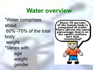 Water overview*Water comprises about    60% -70% of the total body   weight *Varies with	age	weight	gender
