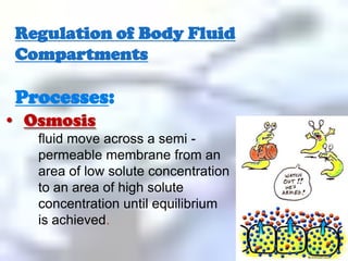 Increased sodium intake