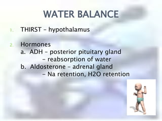 Regulation of Body Fluid CompartmentsProcesses:Osmosisfluid move across a semi -	permeable membrane from an 	area of low solute concentration 	to an area of high solute  	concentration until equilibrium 	is achieved.