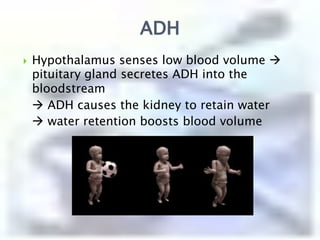 Diffusion The movement of particles in all directions through a solution.