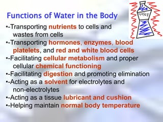-Acting as asolventfor electrolytes and     non-electrolytes-Acting as a tissue lubricant and cushion