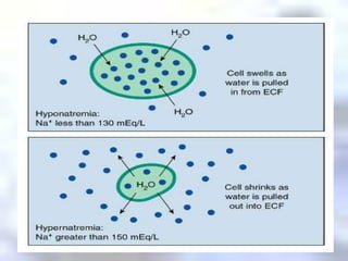 MANAGEMENTMonitor I & OLimit waterSkin careTurn patient every 2 hoursO2Limit NaMonitor electrolyte values