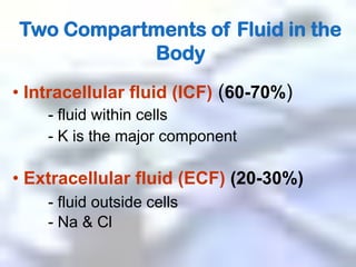 -Helping maintain normal body temperatureTwo Compartments of Fluid in the Body Intracellular fluid (ICF)(60-70%)- fluid within cells	- K is the major component Extracellular fluid (ECF)(20-30%)- fluid outside cells	- Na & Cl