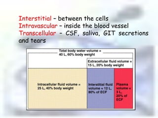 Interstitial – between the cellsIntravascular – inside the blood vesselTranscellular – CSF, saliva, GIT secretions and tears