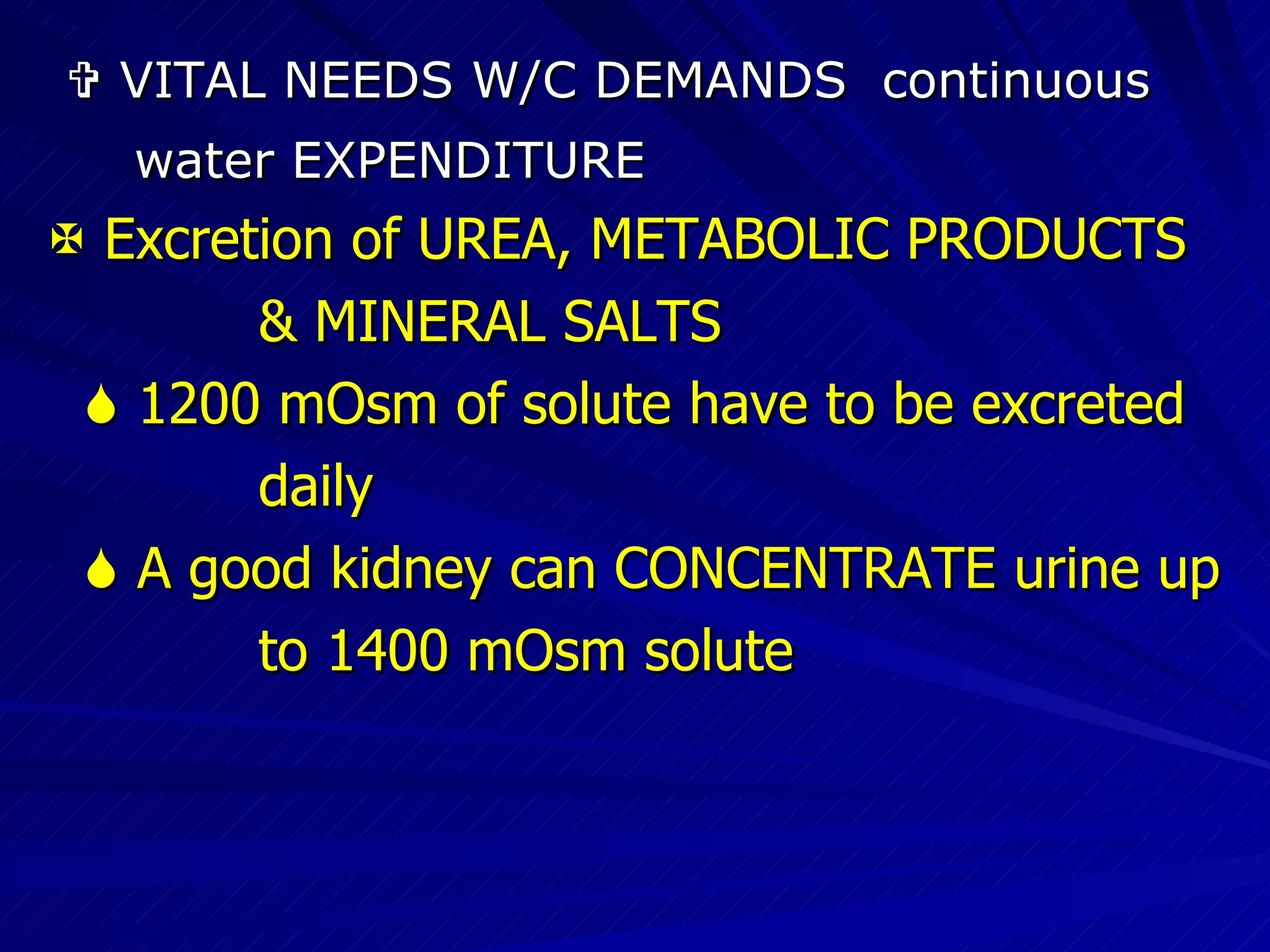    VITAL NEEDS W/C DEMANDS  continuous  water EXPENDITURE    Excretion of UREA, METABOLIC PRODUCTS & MINERAL SALTS    1200 mOsm of solute have to be excreted  daily     A good kidney can CONCENTRATE urine up  to 1400 mOsm solute 