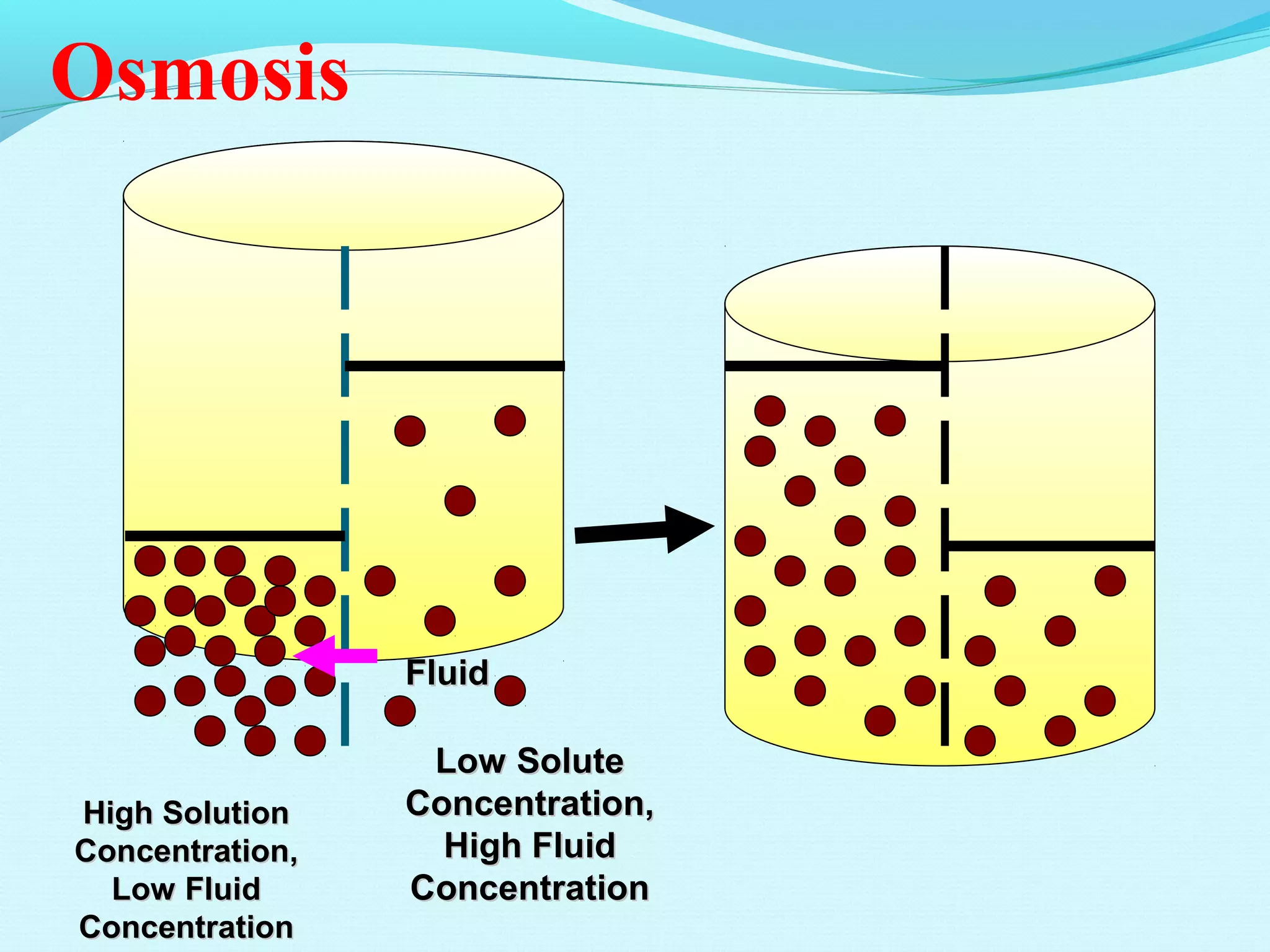 Fluids and electrolytes balance | PPT