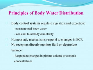 Principles of Body Water Distribution



Body control systems regulate ingestion and excretion:
- constant total body water
- constant total body osmolarity
Homeostatic mechanisms respond to changes in ECF.
No receptors directly monitor fluid or electrolyte
balance.
- Respond to changes in plasma volume or osmotic
concentrations
 