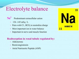 Electrolyte balance
Na+ Predominant extracellular cation
• 136 -145 mEq / L
• Pairs with Cl- , HCO3
-to neutralize charge
• Most important ion in water balance
• Important in nerve and muscle function
Reabsorption in renal tubule regulated by:
•
•
•
Aldosterone
Renin/angiotensin
Atrial Natriuretic Peptide (ANP)
 