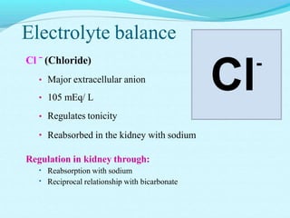 Electrolyte balance
Cl ˉ (Chloride)
•
•
•
• Major extracellular anion
105 mEq/ L
Regulates tonicity
Reabsorbed in the kidney with sodium
Regulation in kidney through:
•
•
Reabsorption with sodium
Reciprocal relationship with bicarbonate
 