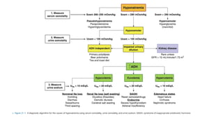 Sodium Algorith Comprehensive Overview of Electrolyte Imbalances: Hyponatremia ...