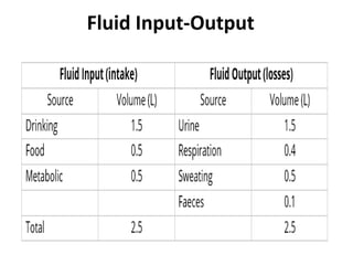 Fluids and electrolytes for sixth year | PPTX