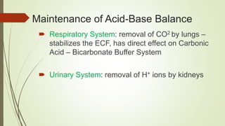 Maintenance of Acid-Base Balance
 Respiratory System: removal of CO2 by lungs –
stabilizes the ECF, has direct effect on Carbonic
Acid – Bicarbonate Buffer System
 Urinary System: removal of H+ ions by kidneys
 