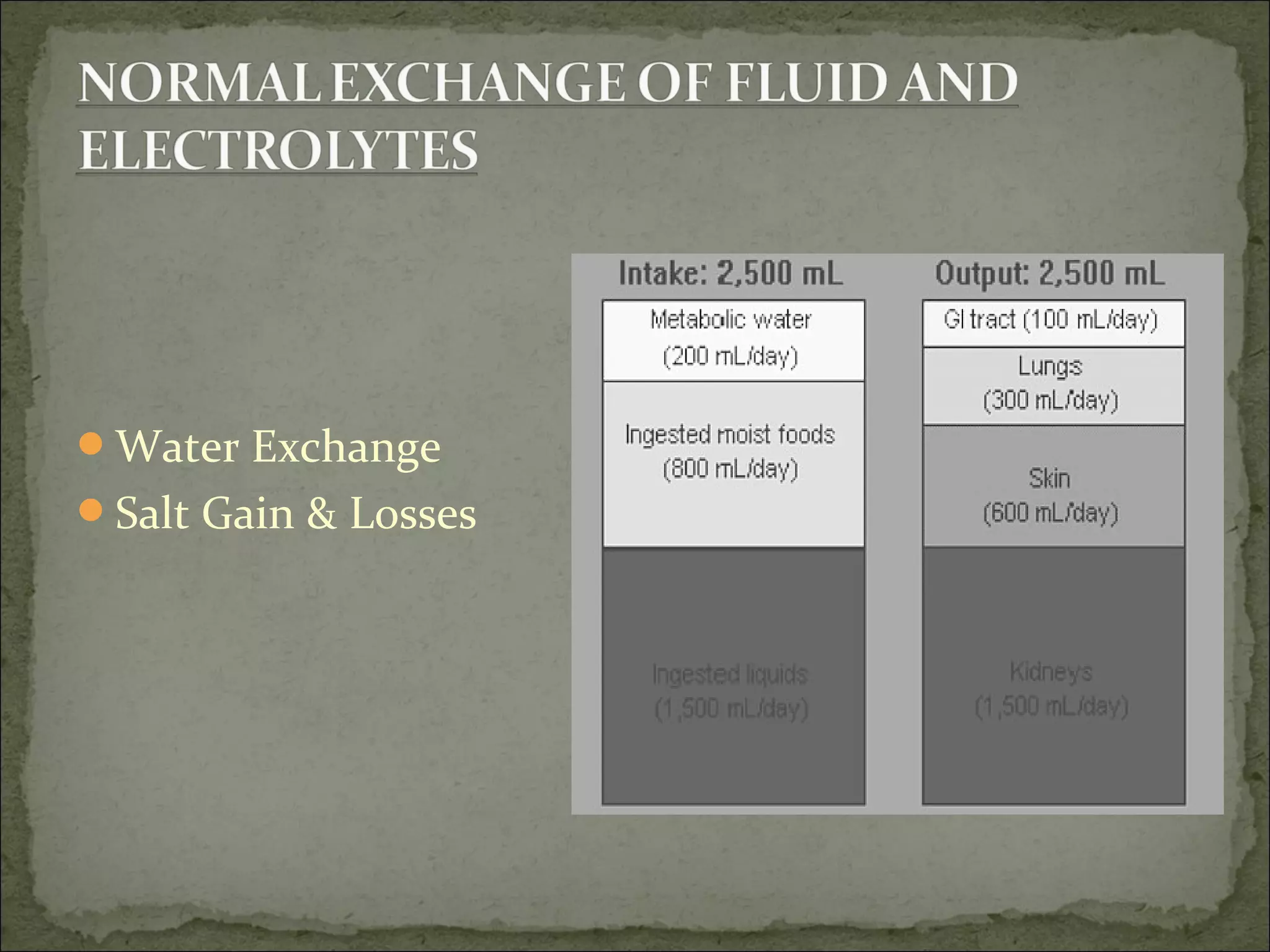 Water Exchange
Salt Gain & Losses
 